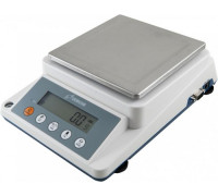 Лабораторные весы DEMCOM DL-6001